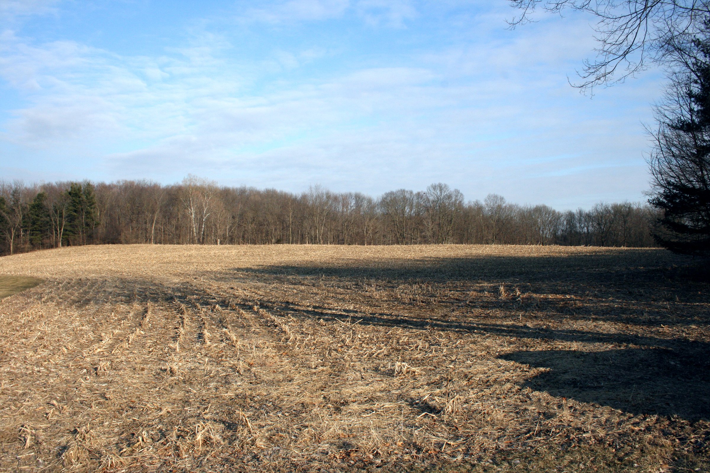 Tract 3 - REAL ESTATE AUCTION - 84.5+/- ACRES IN 4 TRACTS IN WHITLEY COUNTY, INDIANA